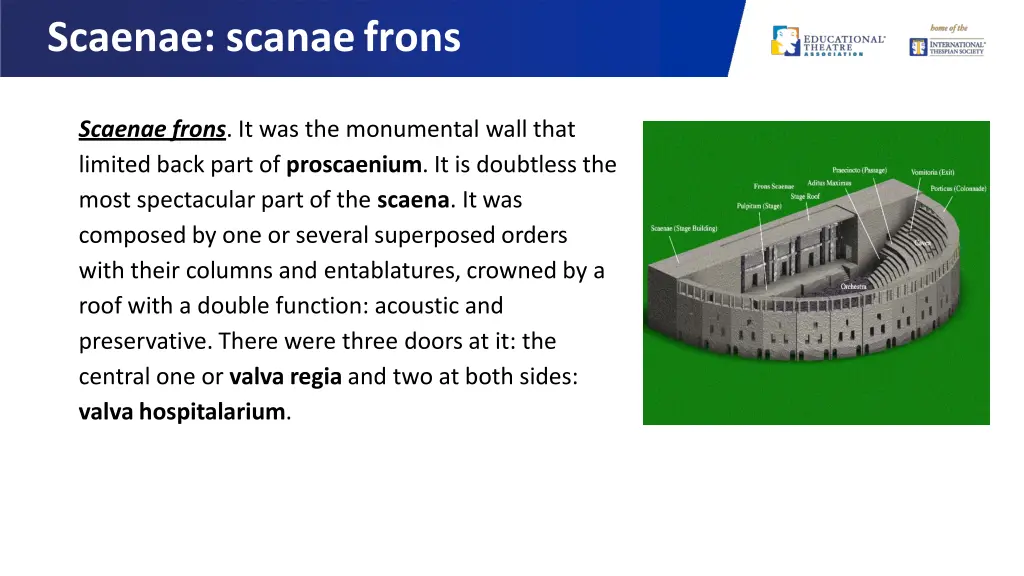 scaenae scanaefrons