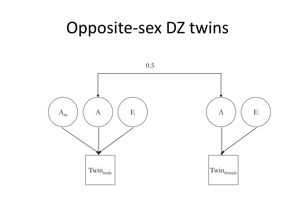 opposite sex dz twins