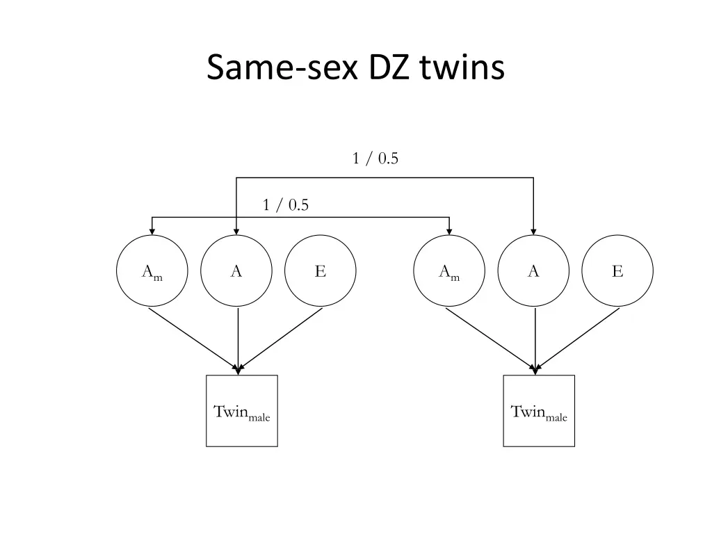 same sex dz twins
