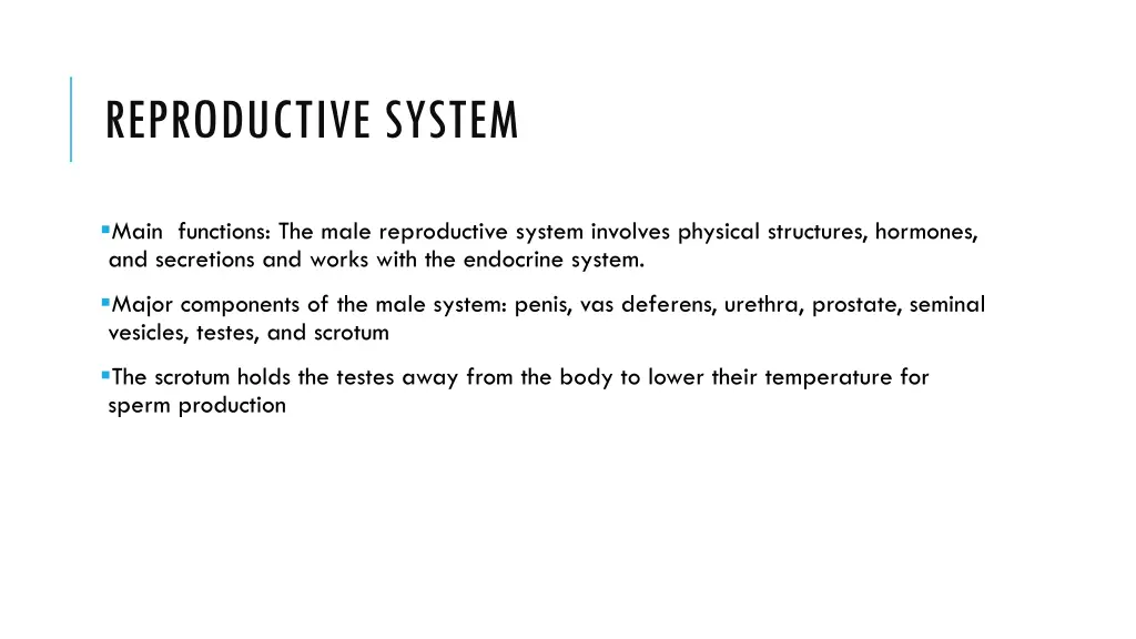 reproductive system