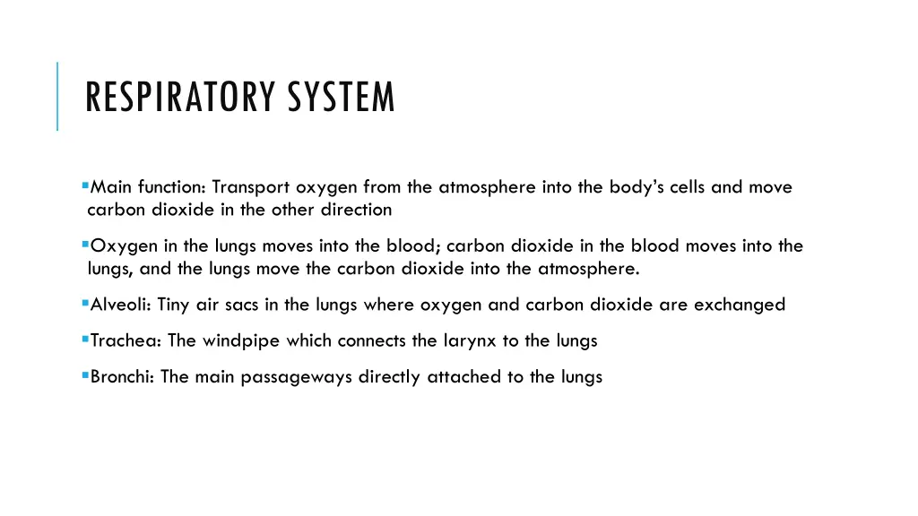 respiratory system