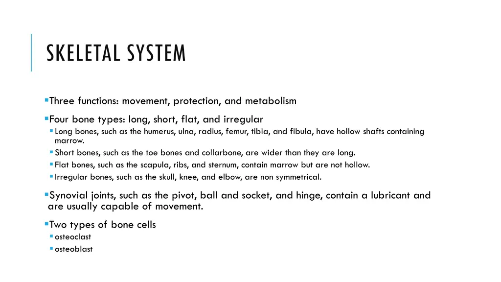 skeletal system