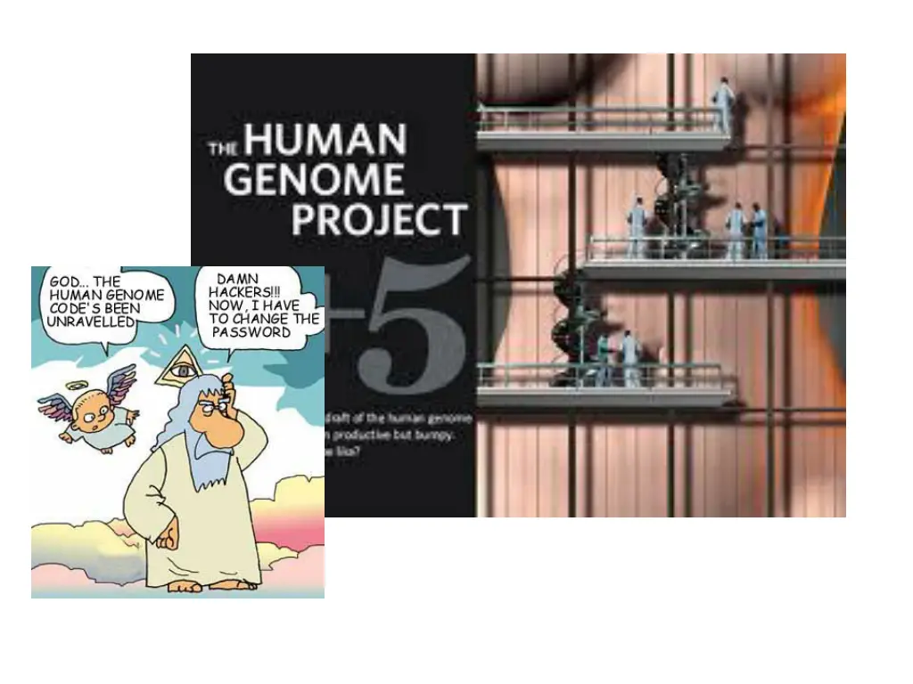 slide6