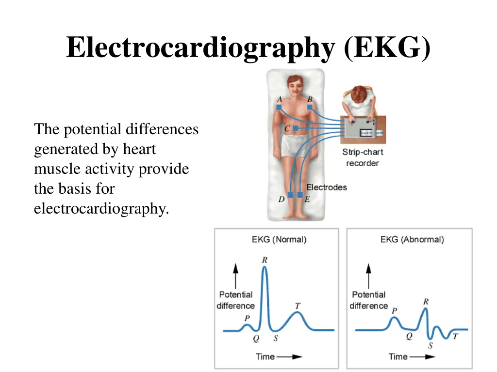 electrocardiography ekg