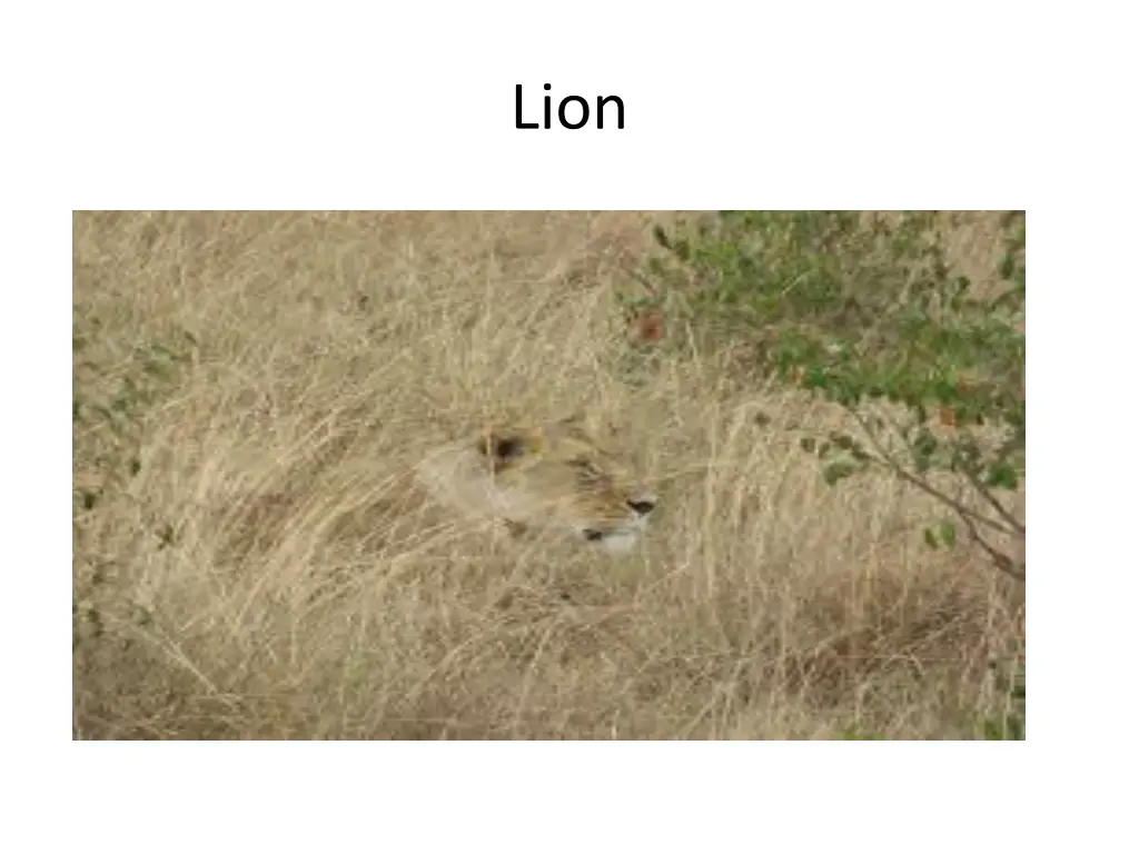 slide11