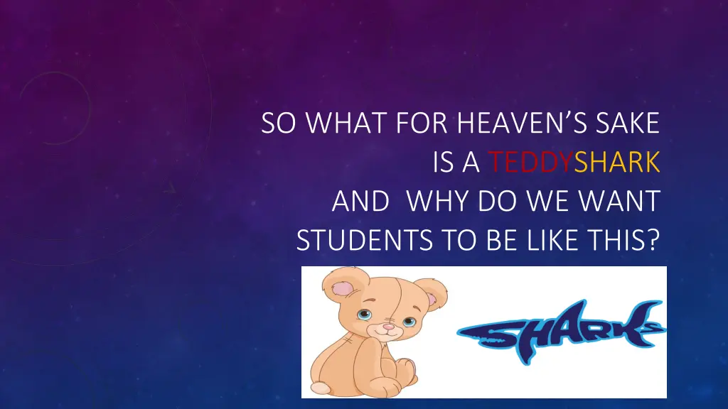 so what for heaven s sake is a teddyshark