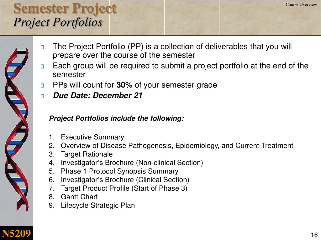 semester project project portfolios
