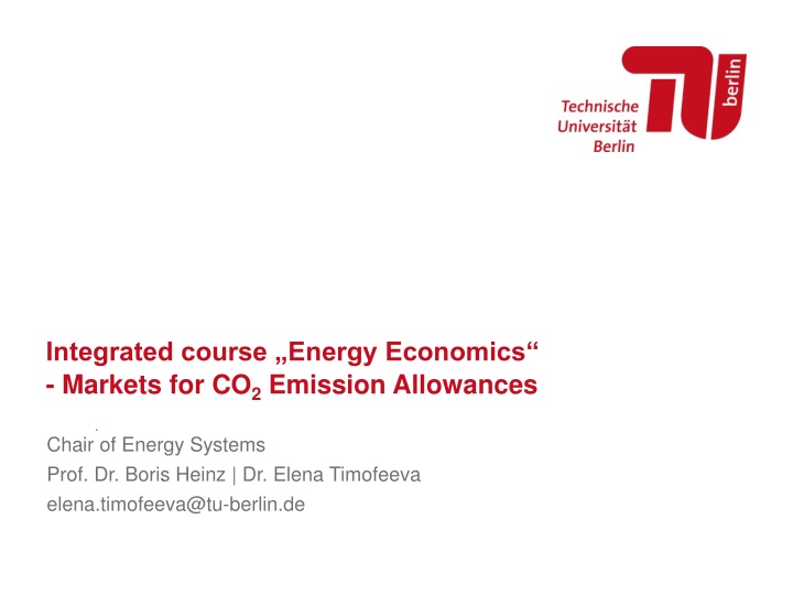 integrated course energy economics markets