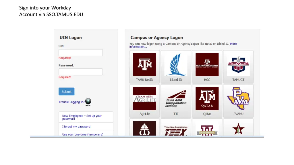 sign into your workday account via sso tamus edu
