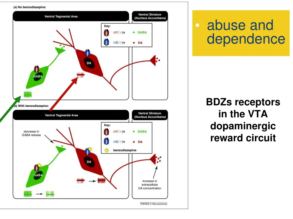 abuse and dependence