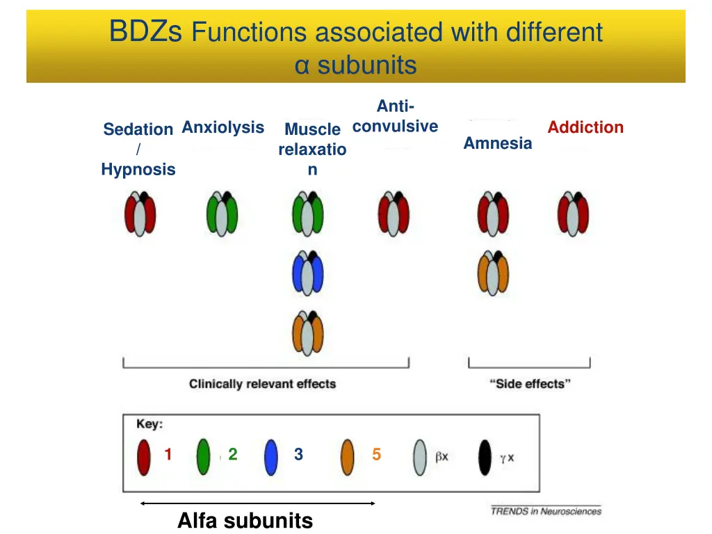 bdzs functions associated with different subunits