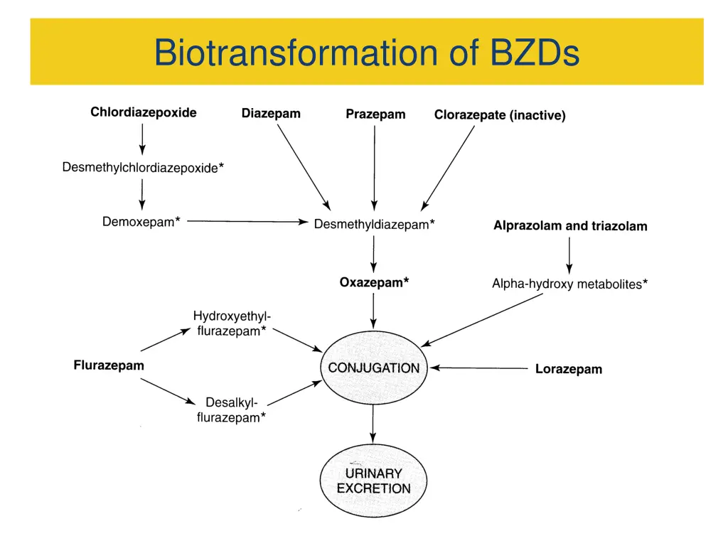 biotransformation of bzds