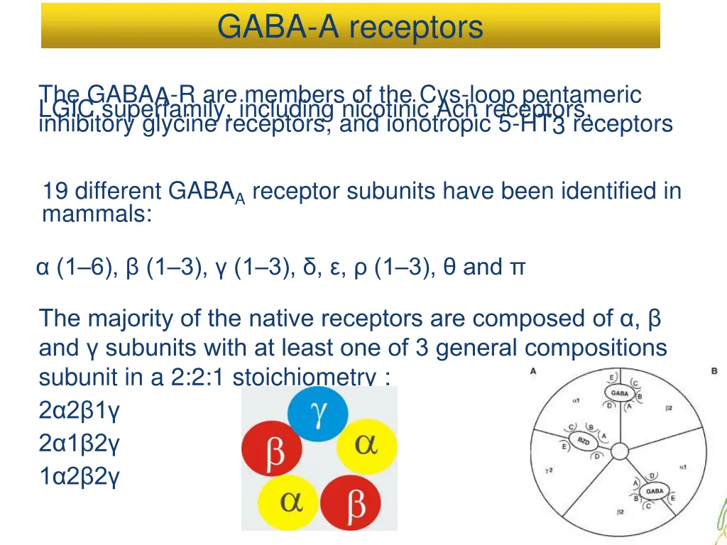 gaba a receptors