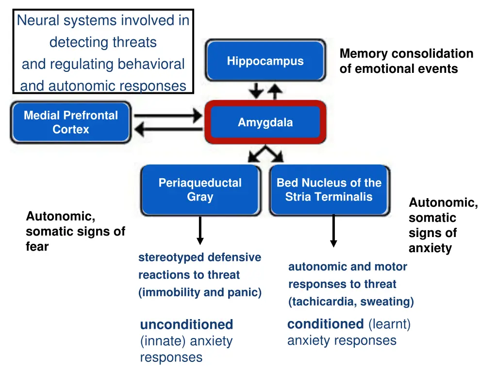 neural systems involved in detecting threats