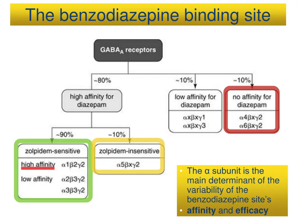 the benzodiazepine binding site 1