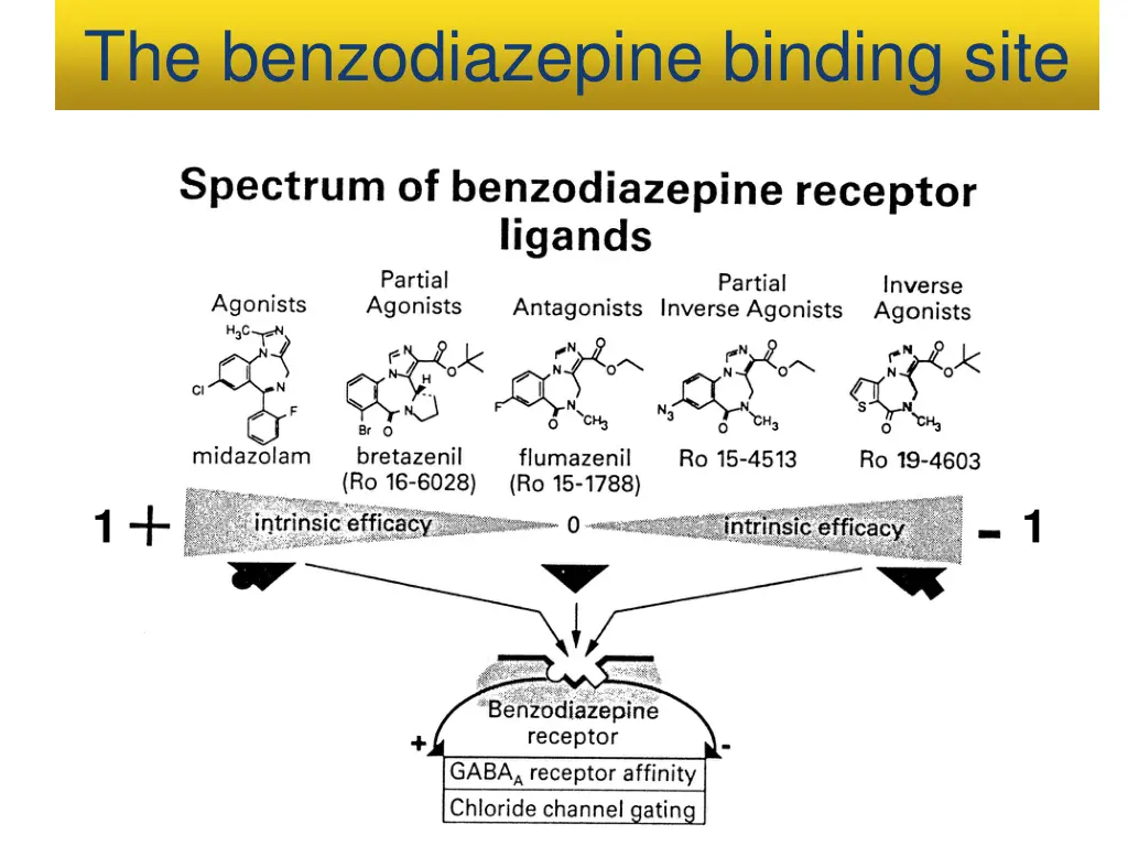 the benzodiazepine binding site