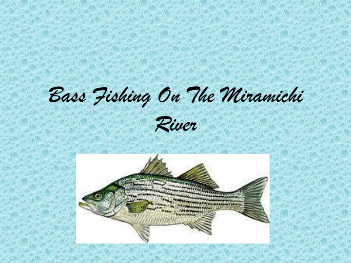 bass fishing on the miramichi river