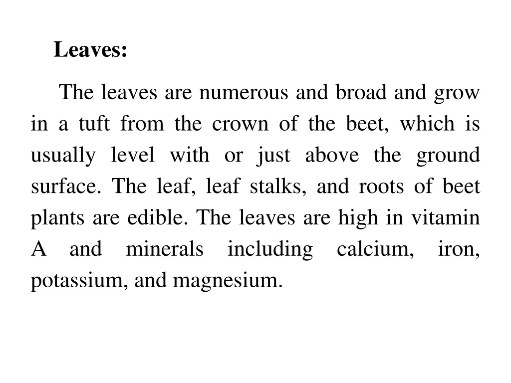 leaves