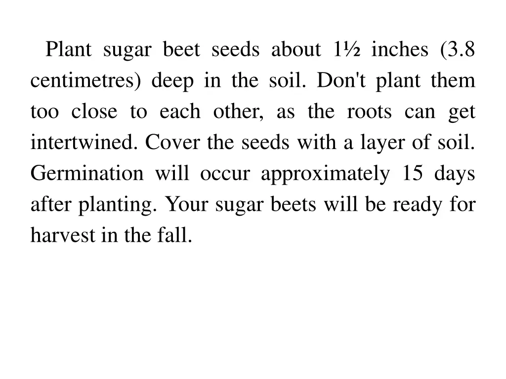 plant sugar beet seeds about 1 inches