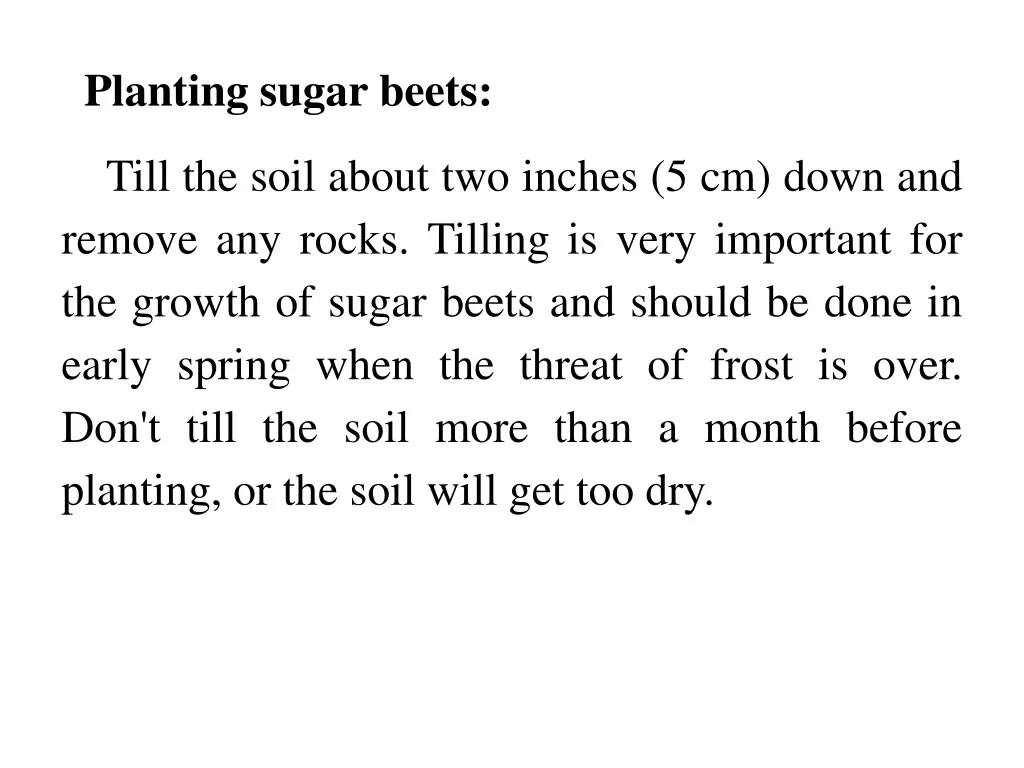 planting sugar beets