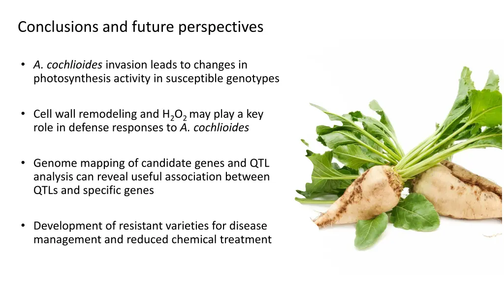 conclusions and future perspectives