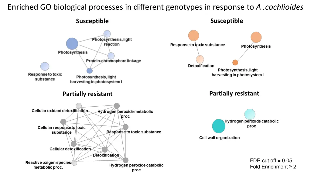 enriched go biological processes in different