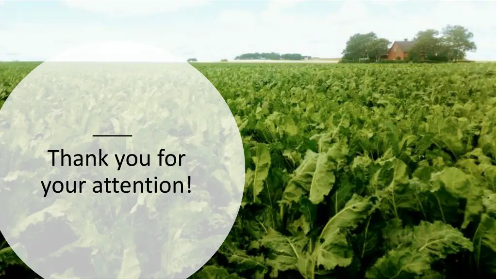 thank you for your attention
