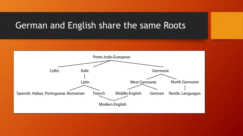 german and english share the same roots