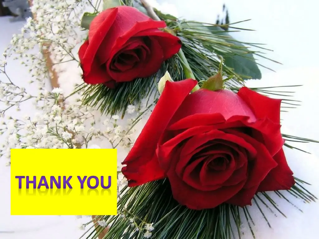 thank you