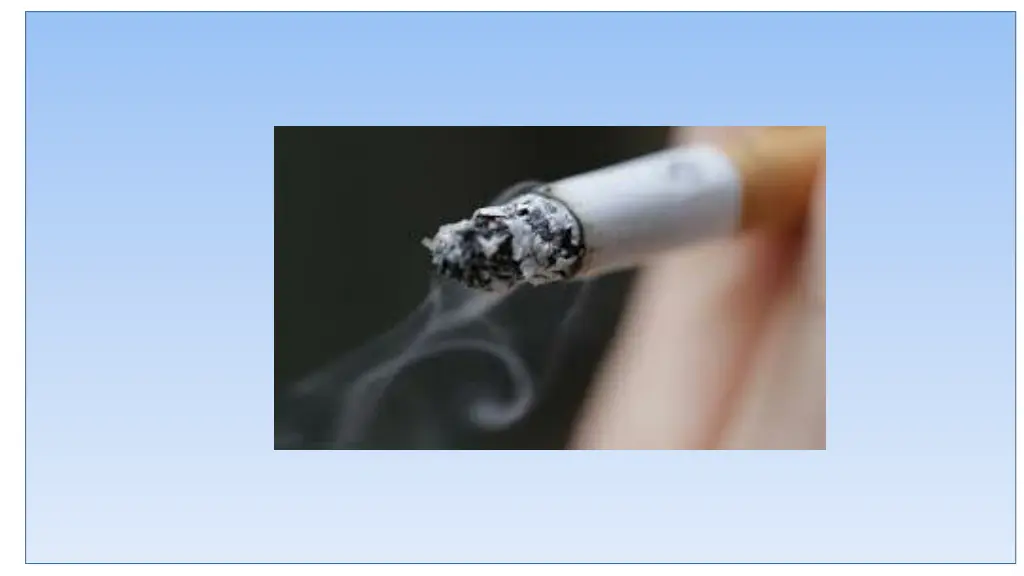slide11