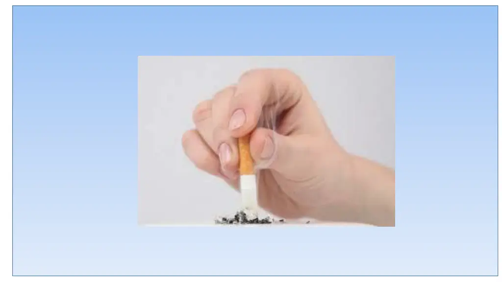 slide19