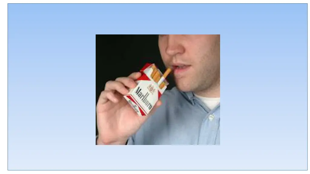 slide29