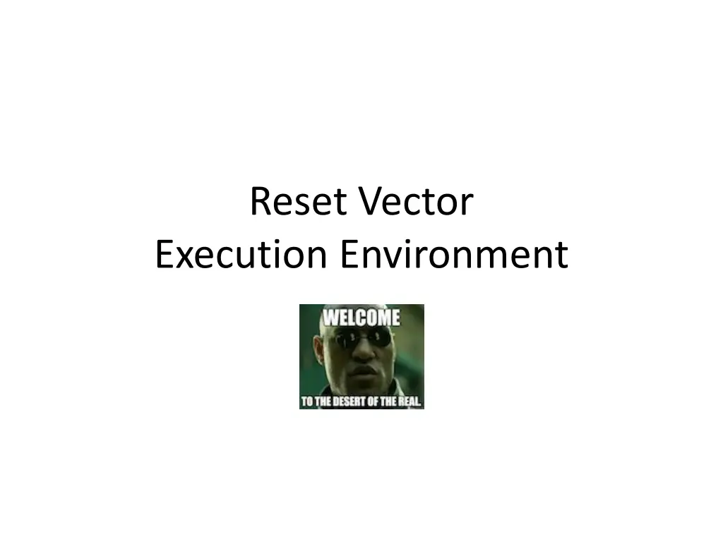 reset vector execution environment