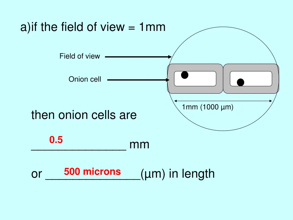 a if the field of view 1mm