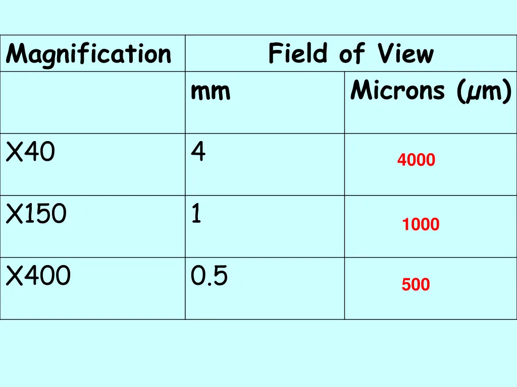 magnification 1