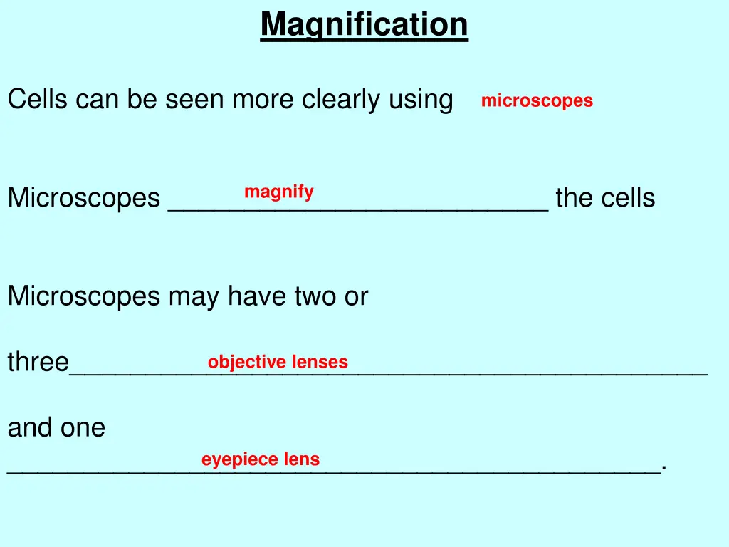 magnification