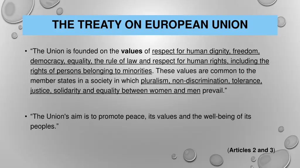 the treaty on european union