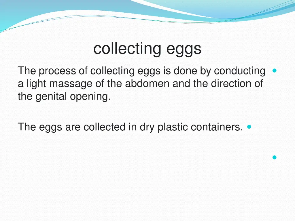collecting eggs