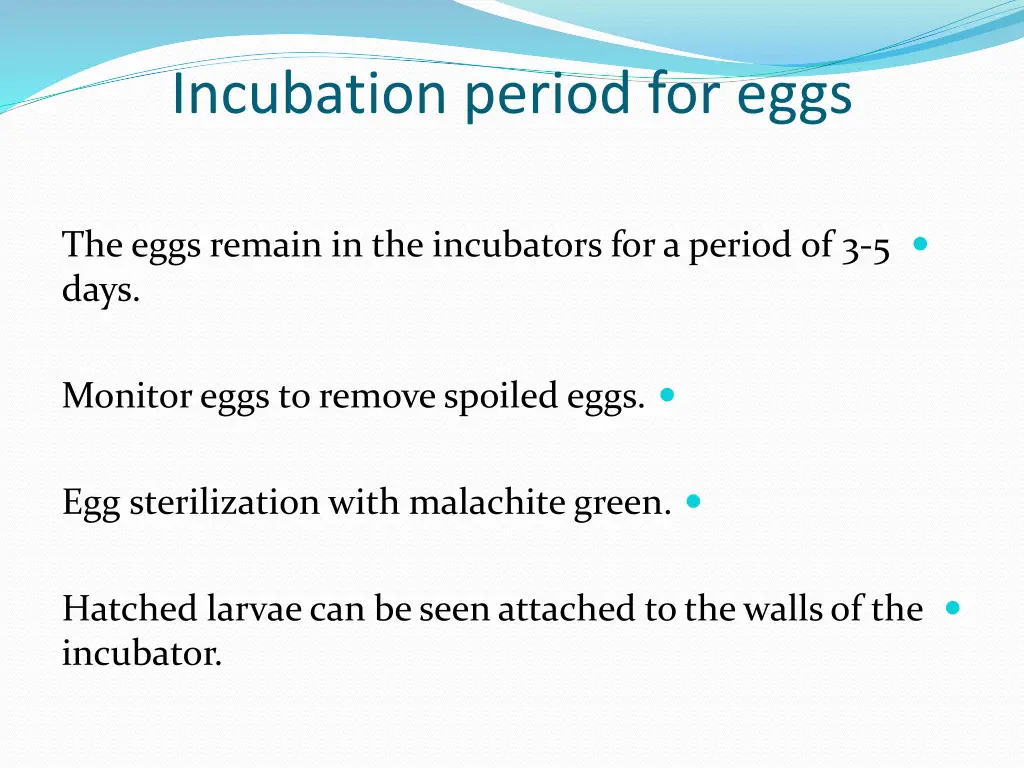 incubation period for eggs