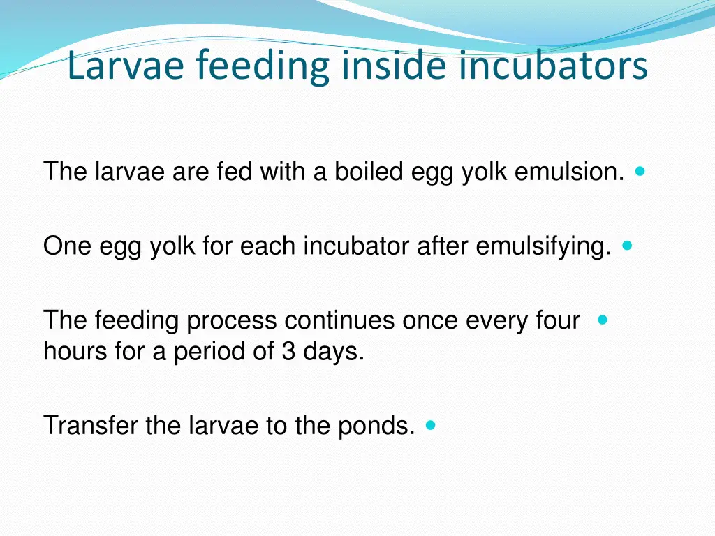 larvae feeding inside incubators