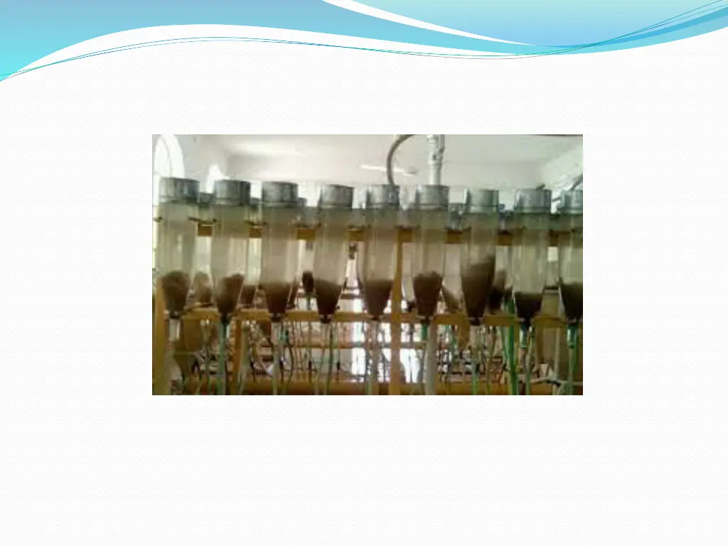 slide19