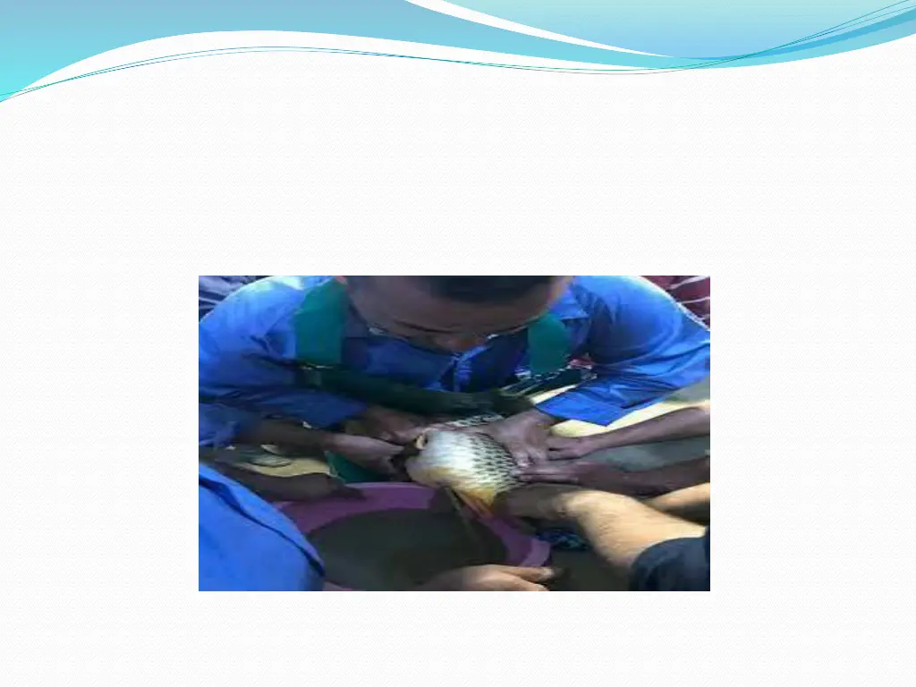 slide21
