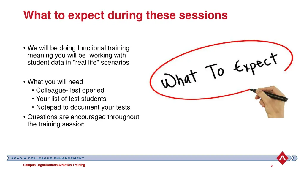what to expect during these sessions