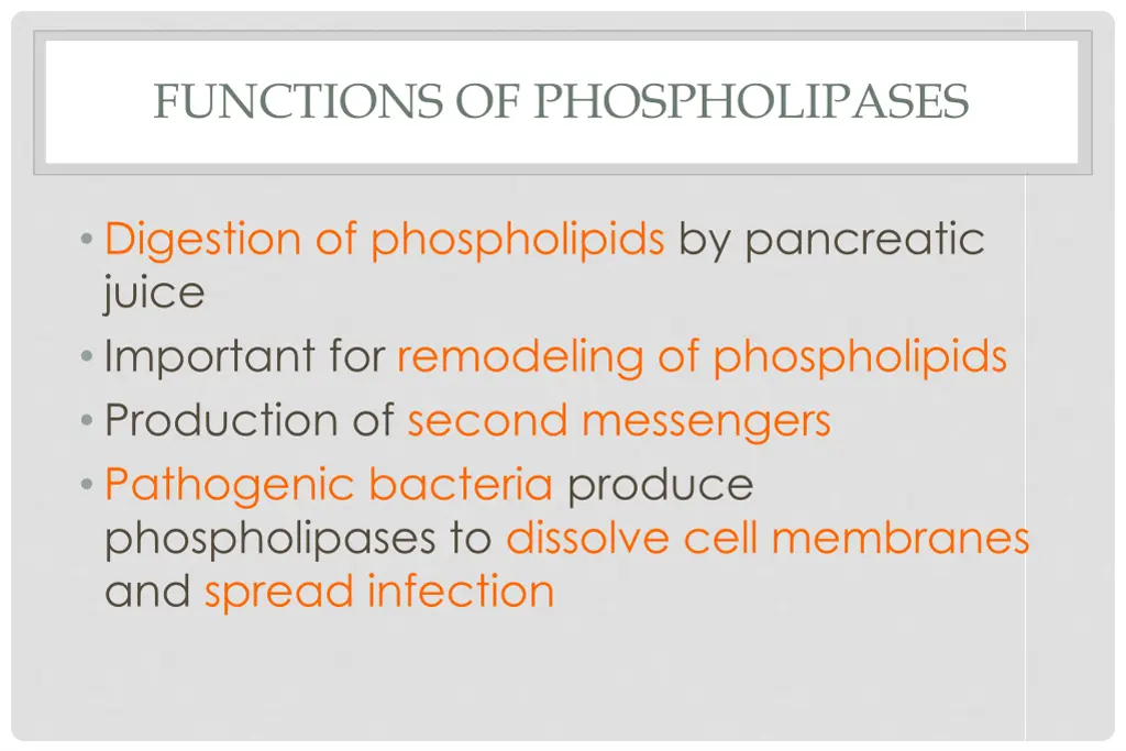 functions of phospholipases