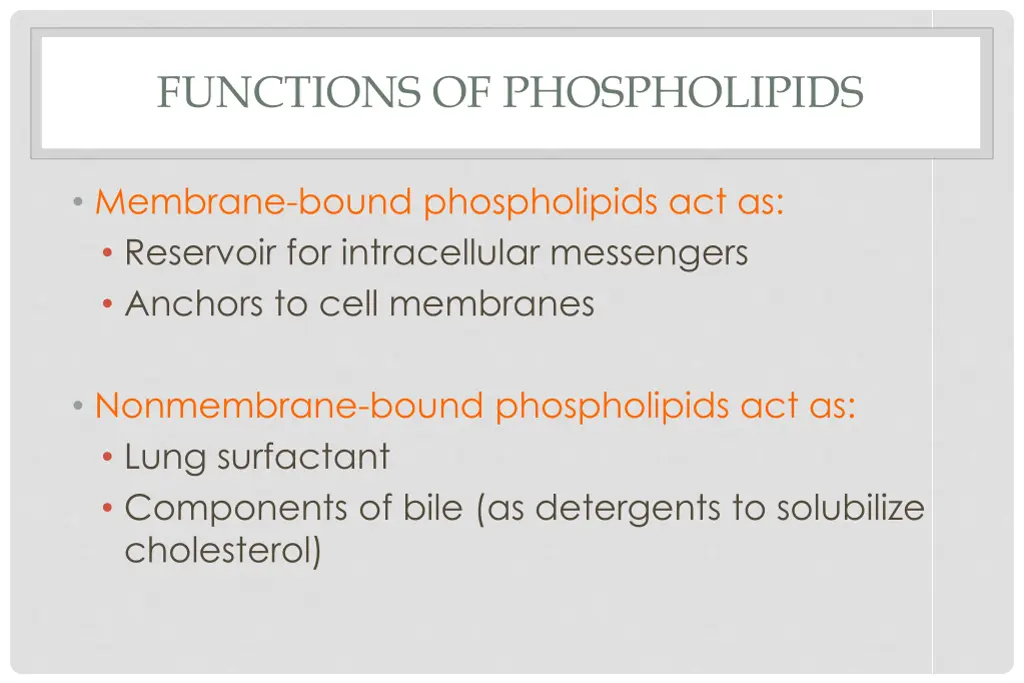 functions of phospholipids