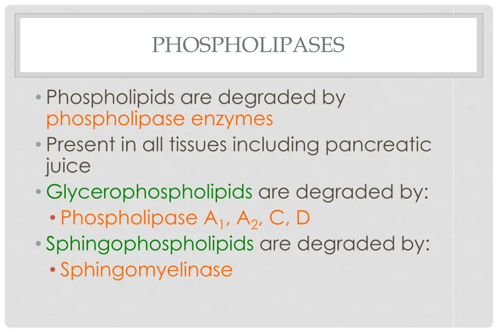 phospholipases