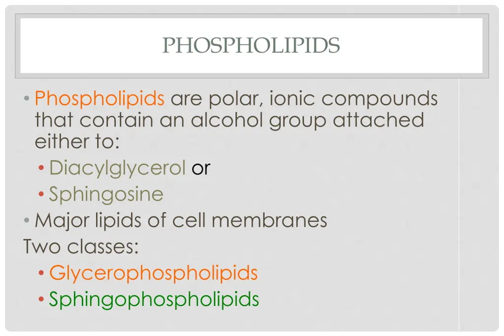 phospholipids
