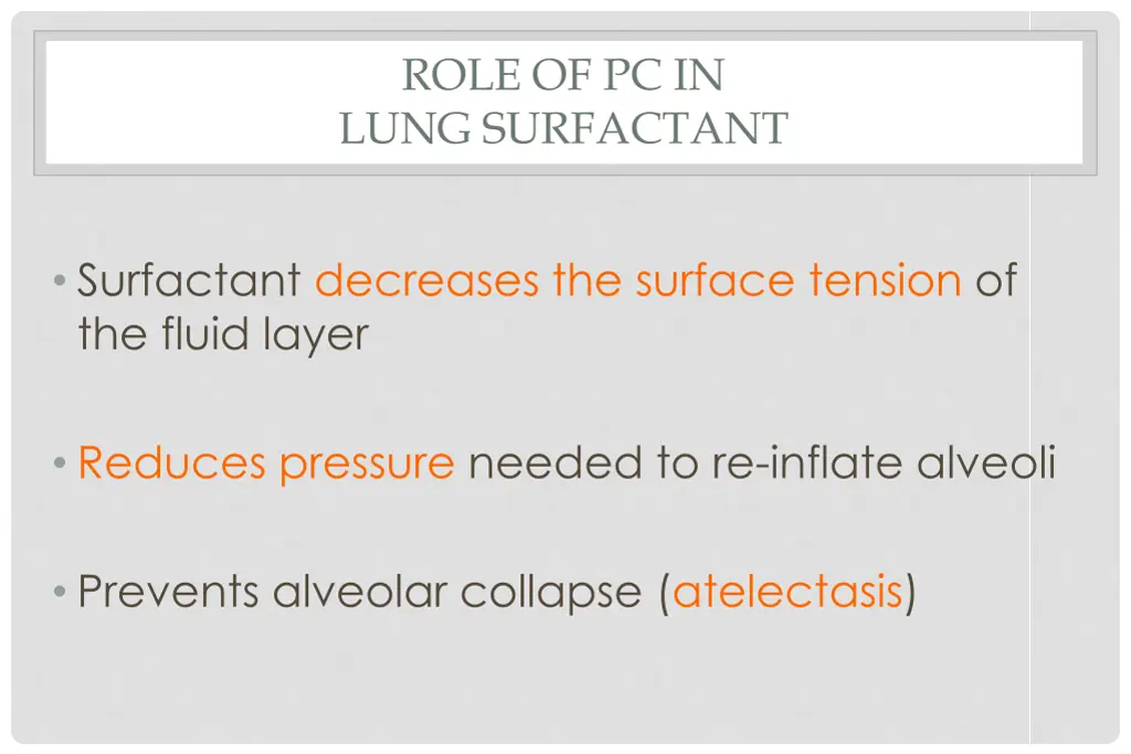 role of pc in lung surfactant 1
