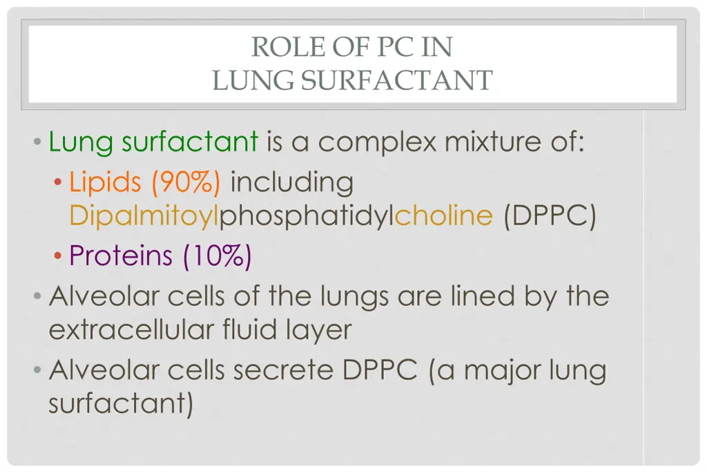 role of pc in lung surfactant