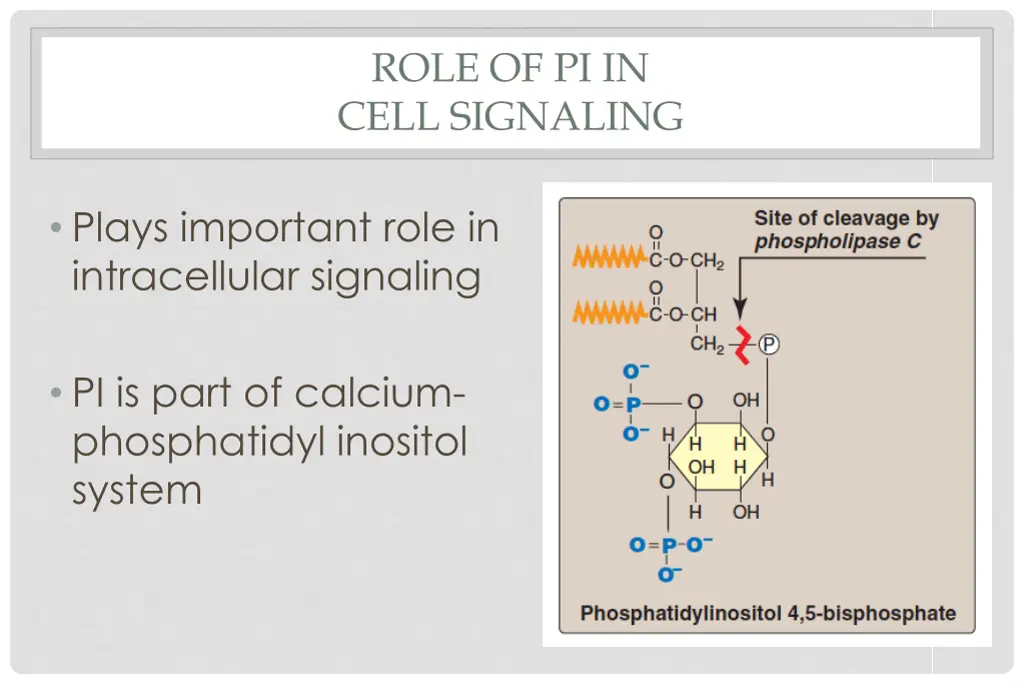 role of pi in cell signaling